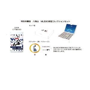 八海山MLB30球団コレクションセット
