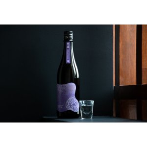越の誉 teca(テカ)純米大吟醸無濾過原酒