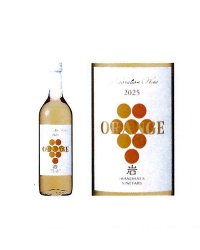 岩の原ワイン　甲州オレンジワイン2025