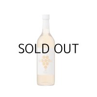 岩の原ワイン甲州オレンジワイン2025