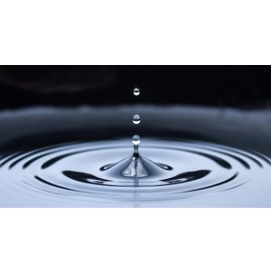 画像6: 銀の翼純米大吟醸雫酒(ご予約)