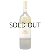 ガヴィ アウローラ