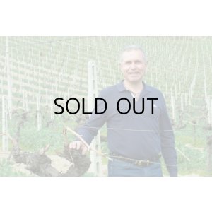 画像4: ラクリマ　ディ　モッロ　タルバ