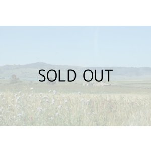 画像3: イルパッソ　ネレッロマスカレーゼ