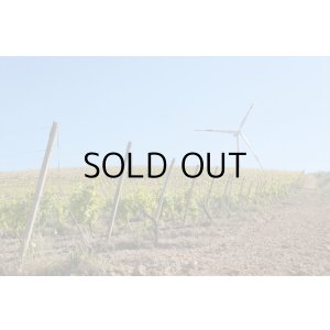 画像4: イルパッソ　ネレッロマスカレーゼ