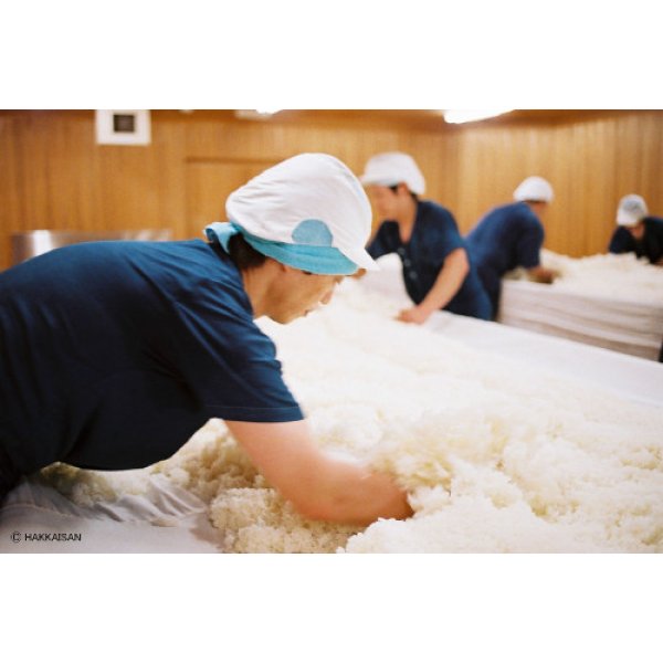 画像5: 八海山清酒魚沼カップ1ケース (5)