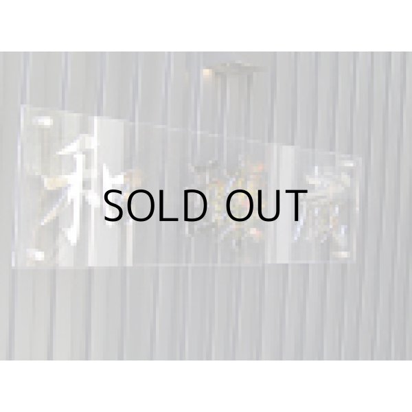 画像6: 越の誉金箔入り特別純米酒 (6)