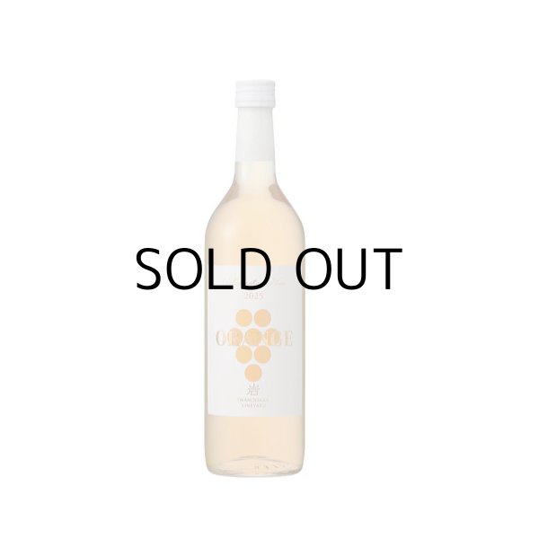 岩の原ワイン甲州オレンジワイン2025