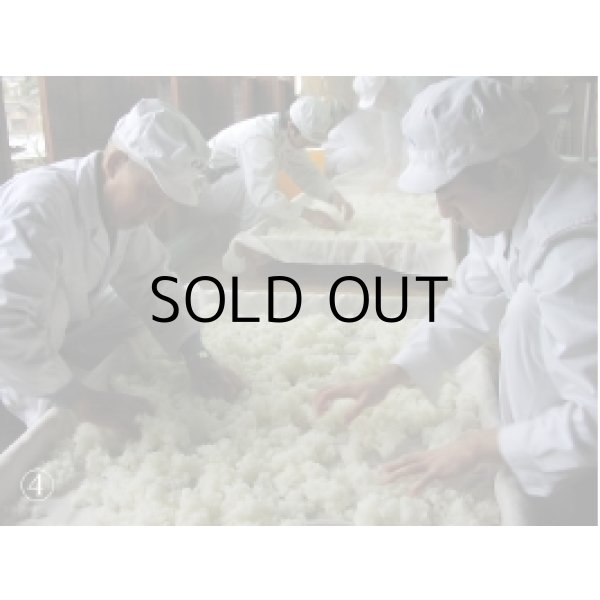 画像5: 越乃景虎純米しぼりたてカメ詰 (5)