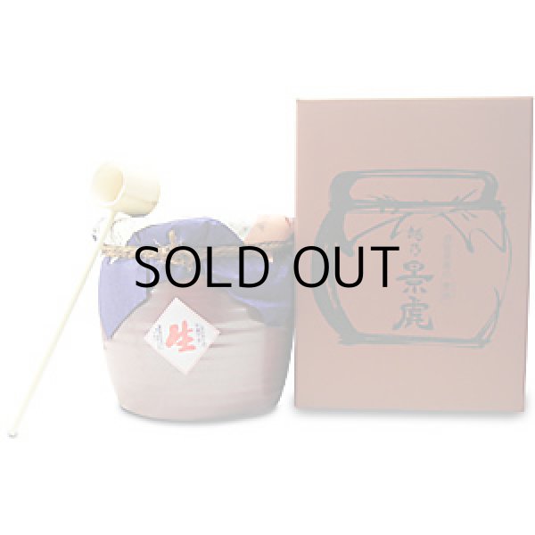 画像1: 越乃景虎純米しぼりたてカメ詰 (1)