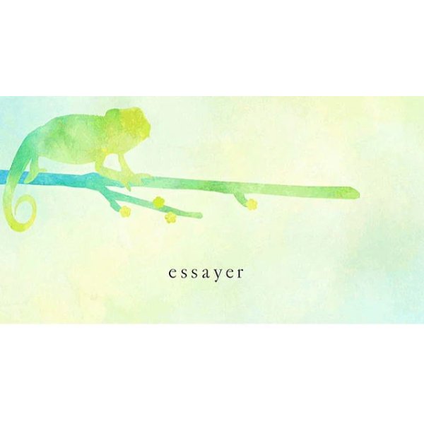雪中梅 essayer 