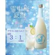 雪中梅夏霞NATSUGASMI2026