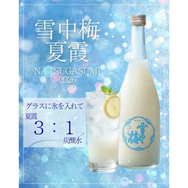 雪中梅夏霞NATSUGASMI2026