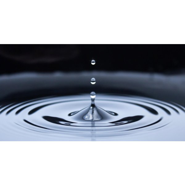 画像6: 銀の翼純米大吟醸雫酒(ご予約) (6)