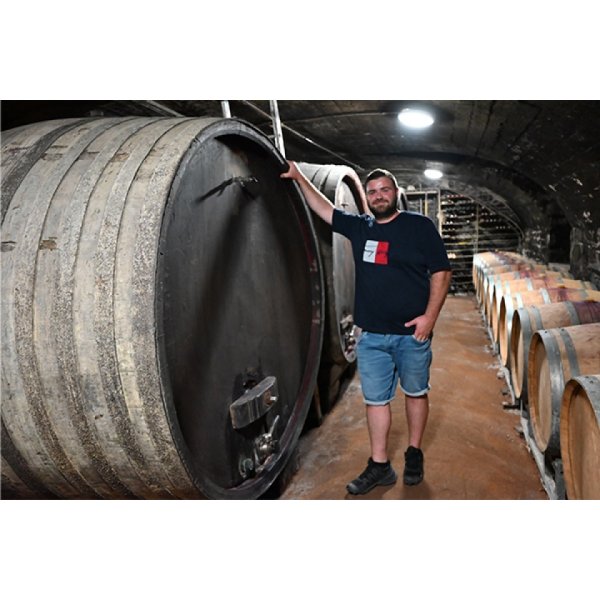 画像2: オリヴィエ・デパルドン ボジョレーヌーヴォー キュヴェ・プレステージュ2025 (2)