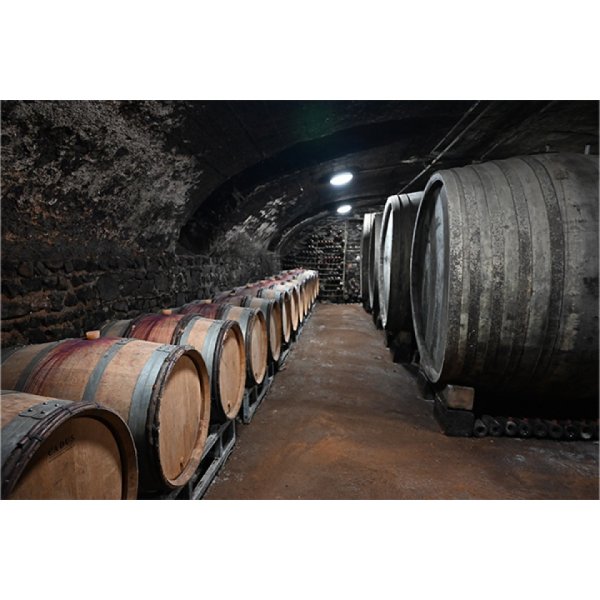 画像3: オリヴィエ・デパルドン ボジョレーヌーヴォー キュヴェ・プレステージュ2025 (3)