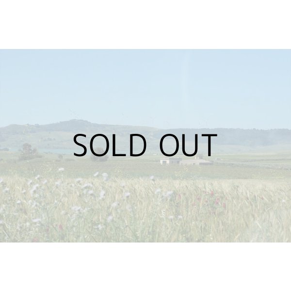 画像3: イルパッソ　ネレッロマスカレーゼ (3)